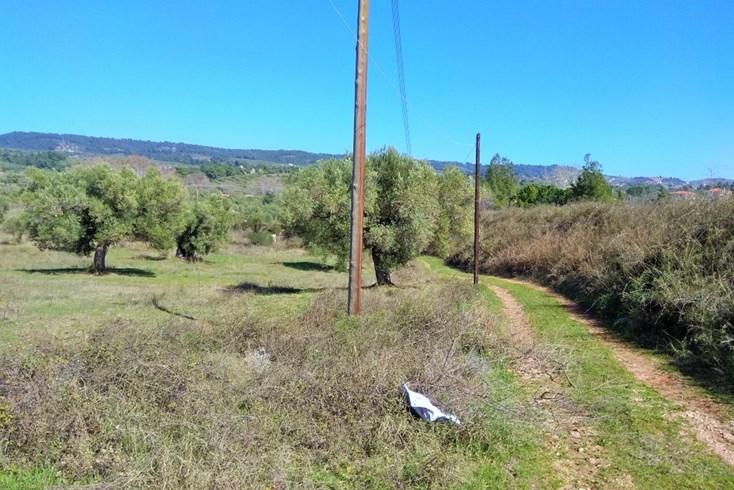 Realty photo 2