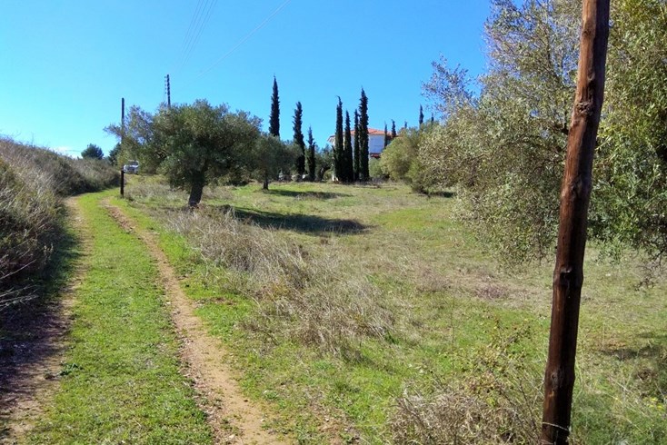 Realty photo 1