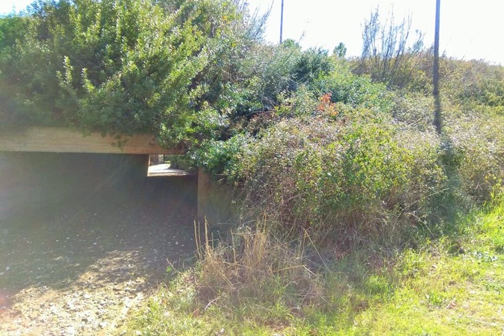 Realty photo 3