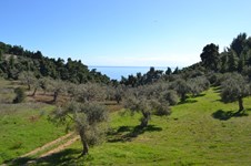 Property 30640 photo 2
