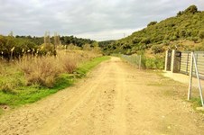 Property 30641 photo 4