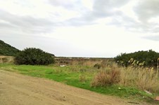Property 30641 photo 5