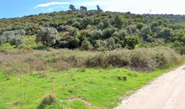 Land 4000 m² auf Sithonia (Chalkidiki)