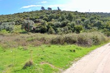 Property 30641 photo 1