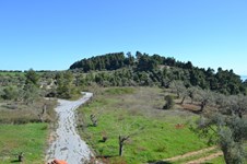 Property 30642 photo 2