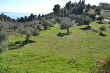 Property 30642 photo 3