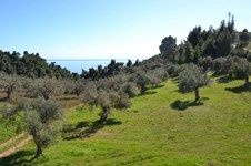 Property 30642 photo 4