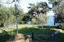 Property 30650 photo 5