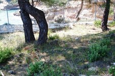 Property 30650 photo 6