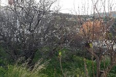 Property 30689 photo 2