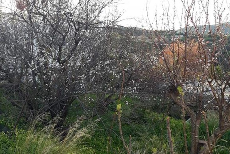 Realty photo 2