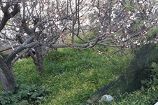 Property 30689 photo 4