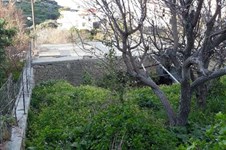 Property 30689 photo 5