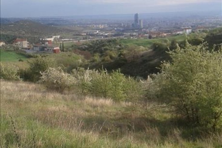 Realty photo 1