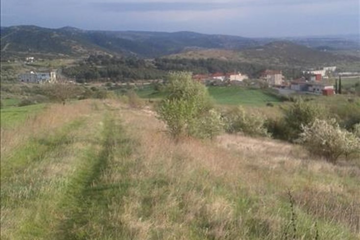 Realty photo 2