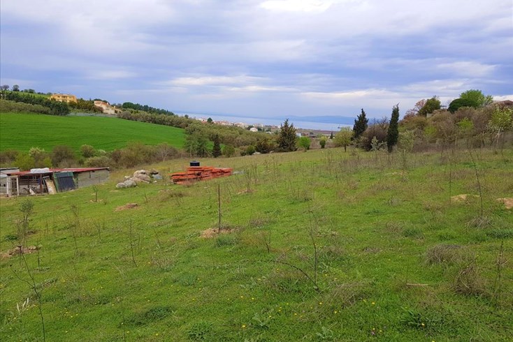 Realty photo 3