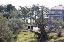 Property 3073 photo 30