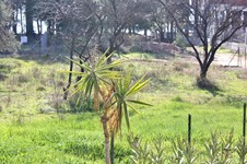 Property 3073 photo 15