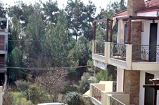 Property 3073 photo 14