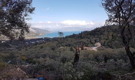 Arsa 4000 m² Korfu’da