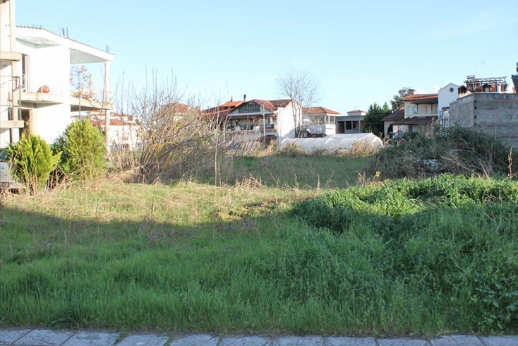 Realty photo 1
