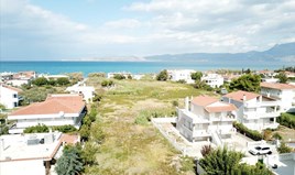 Land 18445 m² in Eastern Peloponnese