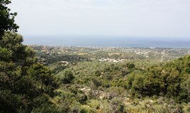 სასტუმრო 27000 m² კრეტაზე