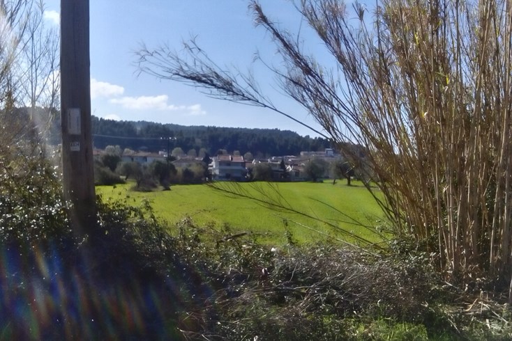 Realty photo 1