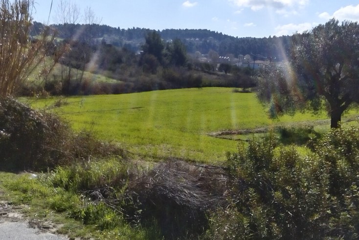 Realty photo 2