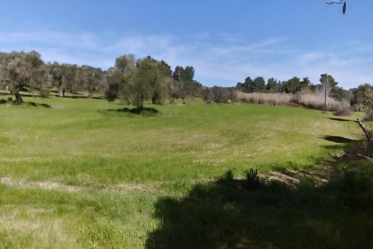 Realty photo 3