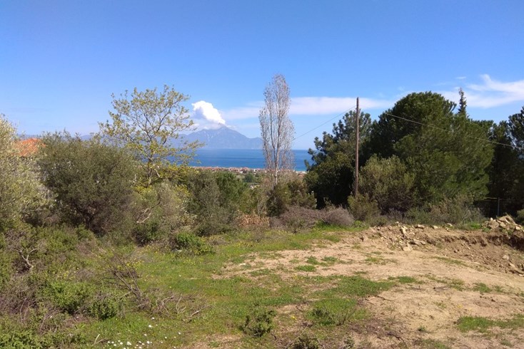 Realty photo 1
