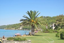 Property 3083 photo 4