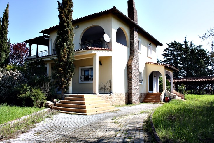 Realty photo 1