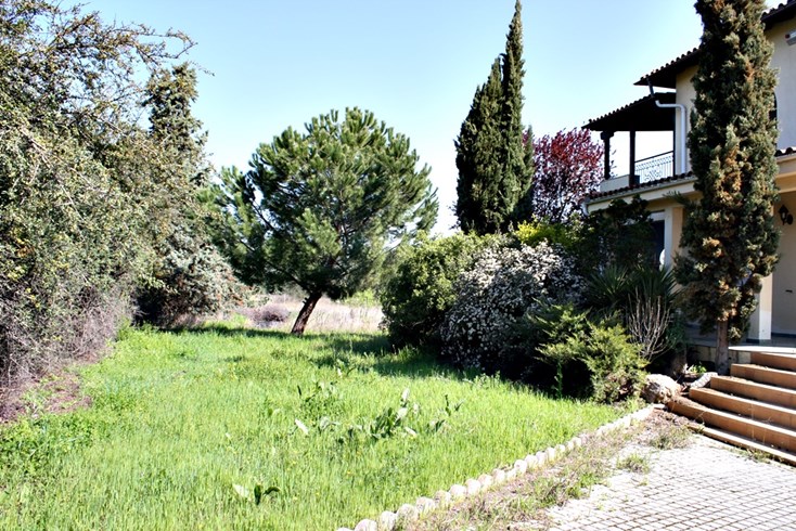 Realty photo 2