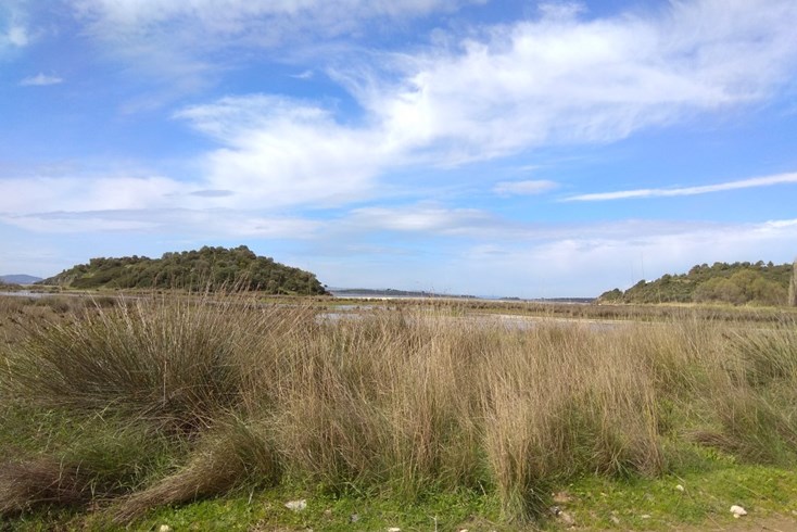 Realty photo 2