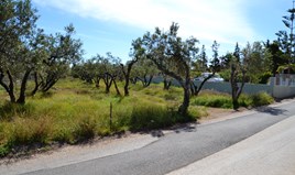 Land 3000 m² in Crete