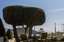 Property 30891 photo 2