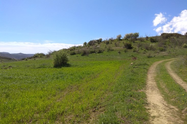 Realty photo 1