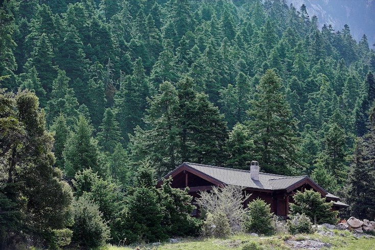 Realty photo 2