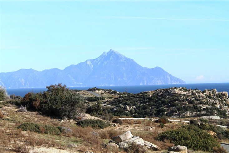 Realty photo 1