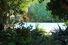 Property 3097 photo 7