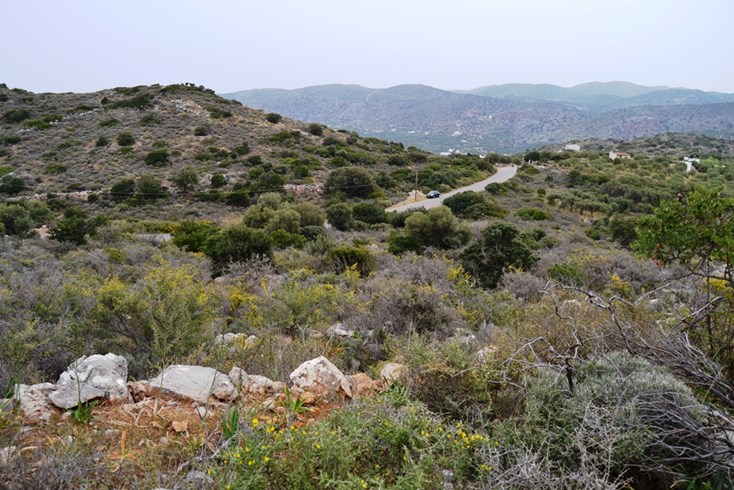 Realty photo 2