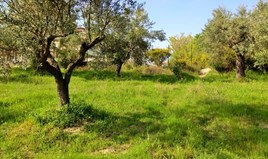 Land 585 m² auf Sithonia (Chalkidiki)