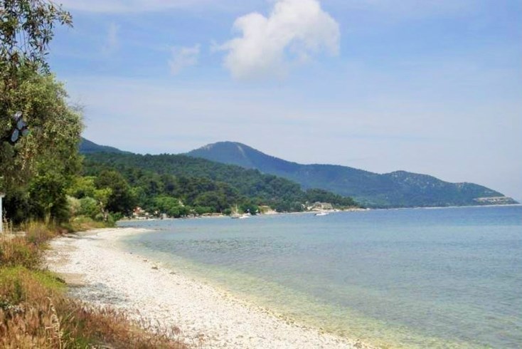 Realty photo 3