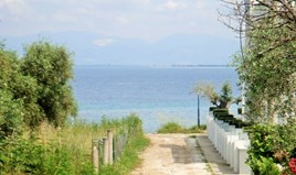 Land 1000 m² on the island of Thassos