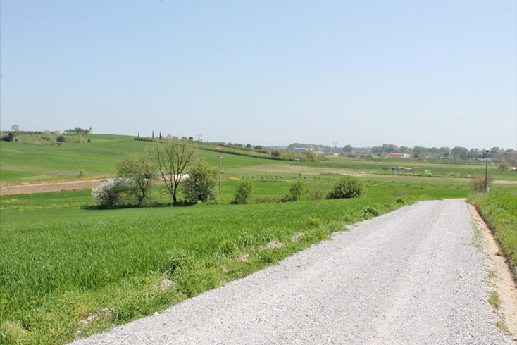 Realty photo 1