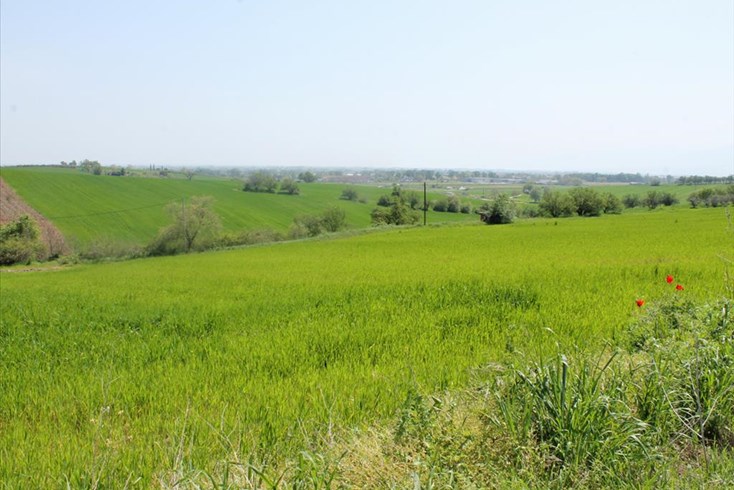 Realty photo 2