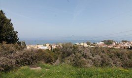 Land 2500 m² auf Korfu