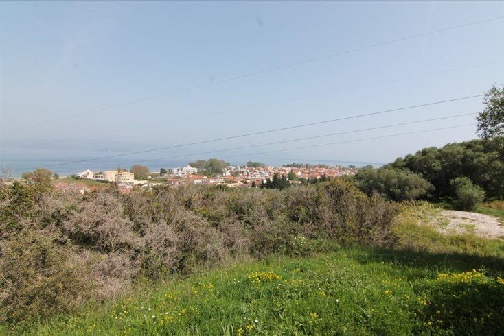 Realty photo 3