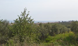 Land 3050 m² in Chalkidiki
